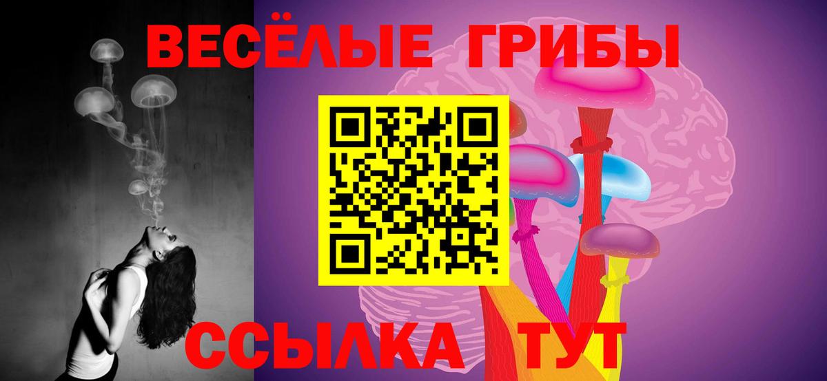 Ртищево  Псилоцибиновые грибы MAGIC MUSHROOMS  где купить наркотик  Вход с VPN 